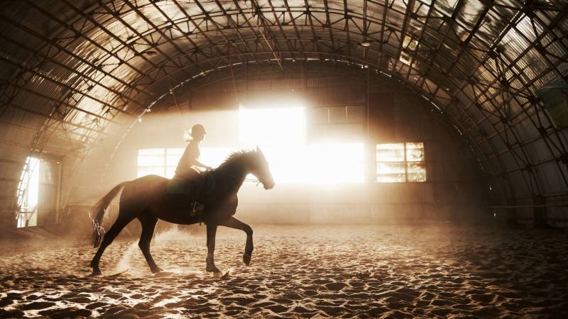 Integratori per la respirazione del cavallo